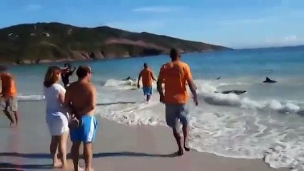 Он просто снимал море и пляж, как вдруг случилось нечто немыслимое