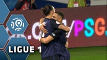 But Zlatan IBRAHIMOVIC (75ème) / Paris Saint-Germain - Toulouse FC (5-0) -  (PARIS - TFC) / 2015-16