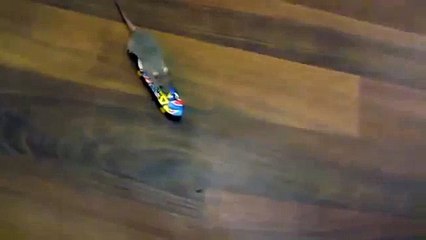 Maus Freizeit. Lustige Maus Spaß