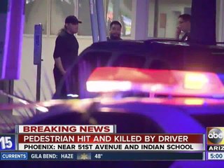 Pedestrian hit and killed by driver overnight