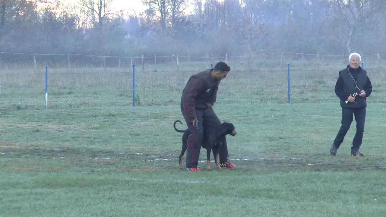 Magmar Von Der Burgstätte: Man unbekannte Angriffs Wettbewerb