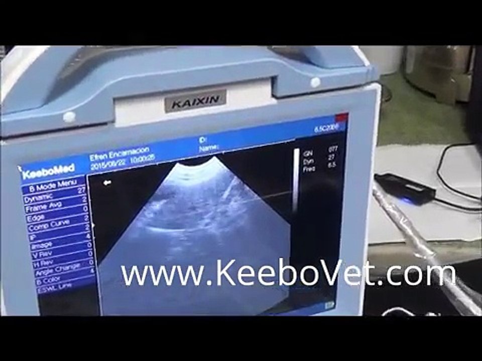 Constipation in dog diagnosed with veterinary u...