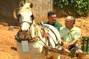 Viação Cipó em Ribeirão Vermelho - Parte 3