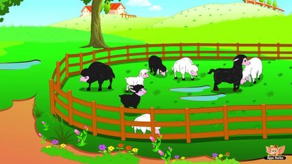Baa Baaa Black Sheep in Bengali - Nursery Rhyme