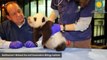 Panda Cub Getting Checkup Is Most Adorable Thing Ever