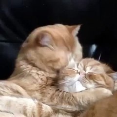 This Must Be What They Say You Eat Your Face