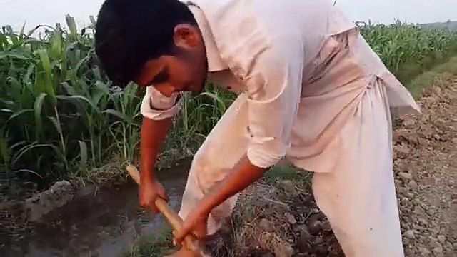 Walid Ke Ehsas Ki Kadar Karni Chaye ! ( Short Story )