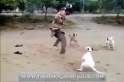 Man Fights Aggressive Dogs watach it - Video Dailymotion