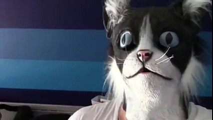 Kedi maskesi ile kedileri trollemek!