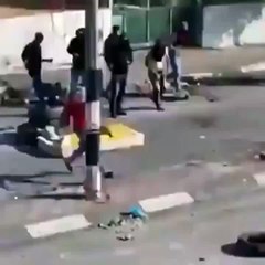 Protester contains tear gas canister