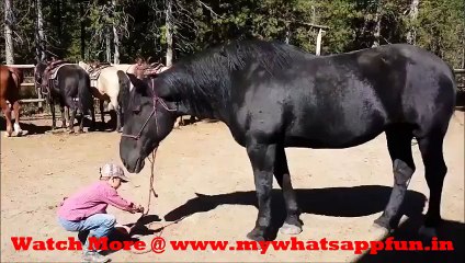 Funny Kids Video || Amazing Trick to Ride the Horse