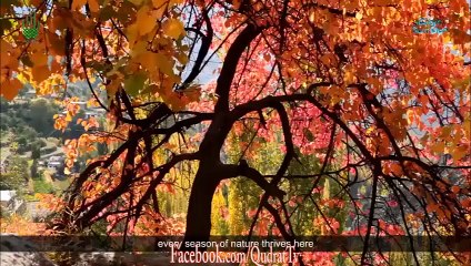 Beauty Of Gilgit Baltistan