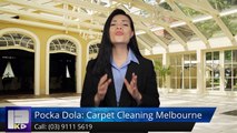 Pocka Dola: Carpet Cleaning Melbourne Notting Hill TerrificFive Star Review by Gary L.
