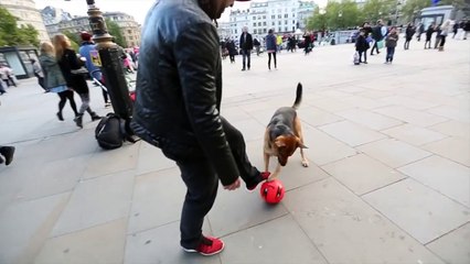 Gentside Sport - Freestyle Garnier VS Chien