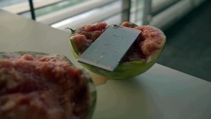 Gentside Tech - Telephone Appo