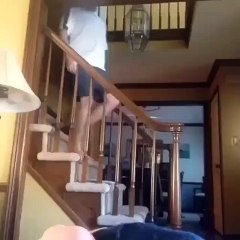 When your friend starts arguing with his parents