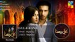 Gul E Rana Full Audio OST - Sajjal Ali - Feroze Khan - HUM TV Drama