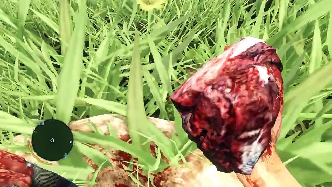 Far Cry 3 Lets Play (24 ნაწილი,ცოცხალი კომენტარებით)