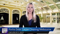 Pocka Dola: Carpet Cleaning Melbourne Ormond WonderfulFive Star Review by julie d.