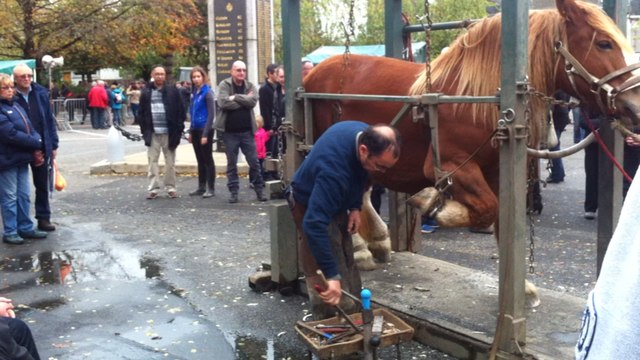 La Fête du cheval, place de Verdun