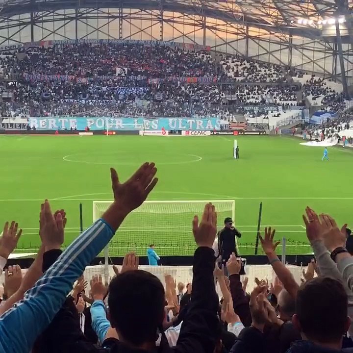 OM-OGCN