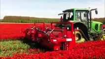 New videos compilation awesome about modern machines agriculture in the world