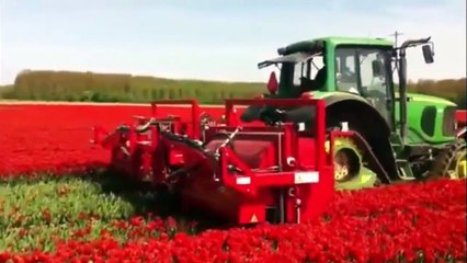 New videos compilation awesome about modern machines agriculture in the world