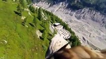 Aigle UAV. Aigle vole avec une caméra vidéo