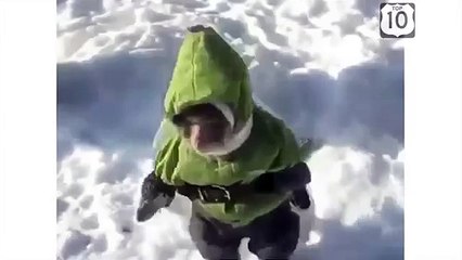 Los monos también hibernan. Traje divertido mono