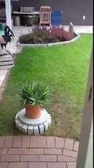 Sembra un semplice vaso, ma sotto si nasconde qualcosa di incredibile