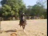 double vertical  oxer