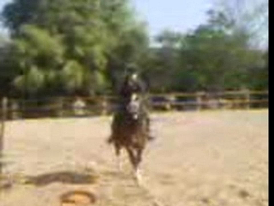 double vertical  oxer
