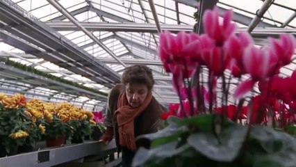 Familie für Fortgeschrittene (Ganzer Film Liebesfilm 2011)