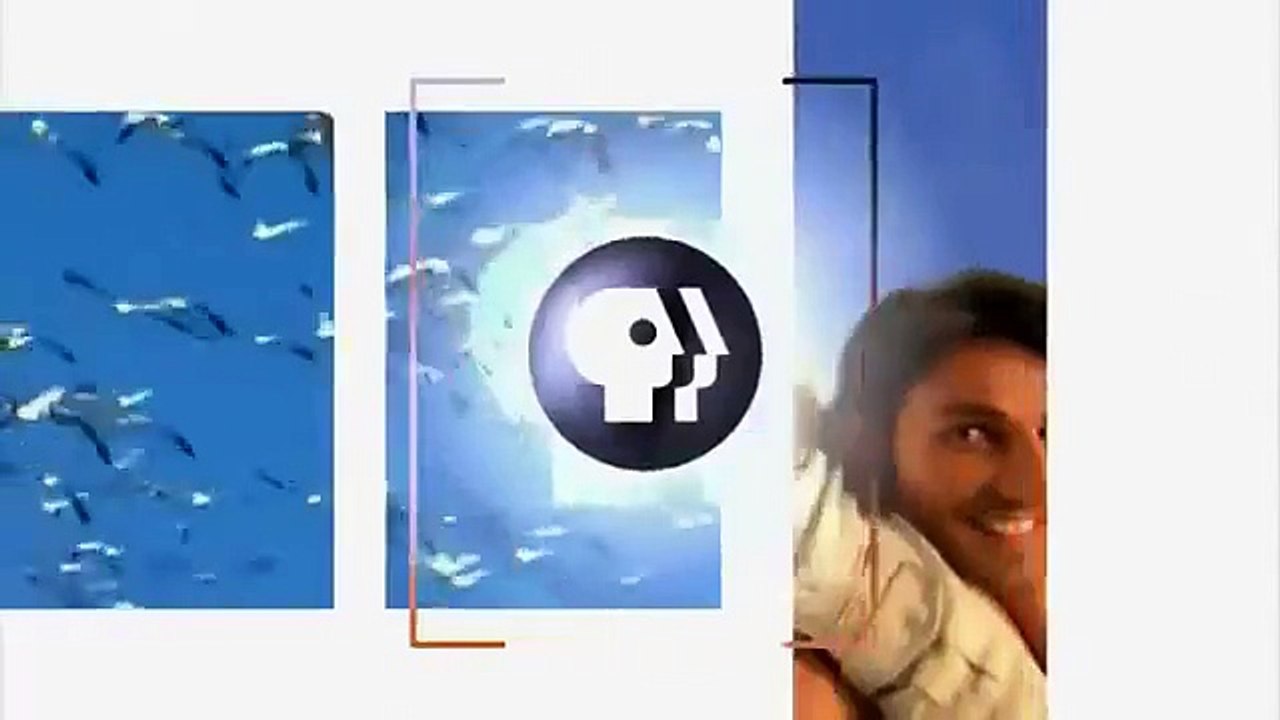 Animal Planet Documentary full s Drawn From Nature Nova Nature Documentary