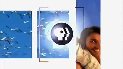 Animal Planet Documentary full s Drawn From Nature Nova Nature Documentary