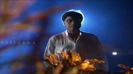 Main Na Hindu Na Musalman Mujhe Jeene Do