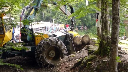 2x HSM 904ZL - Tree Harvester Machine