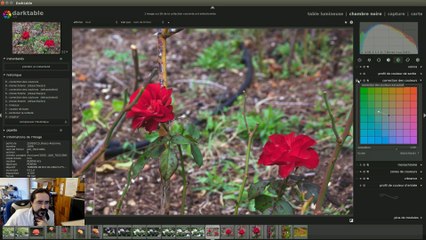Darktable : Filtres de couleurs et Masques