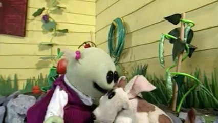 What is this, I don't even?