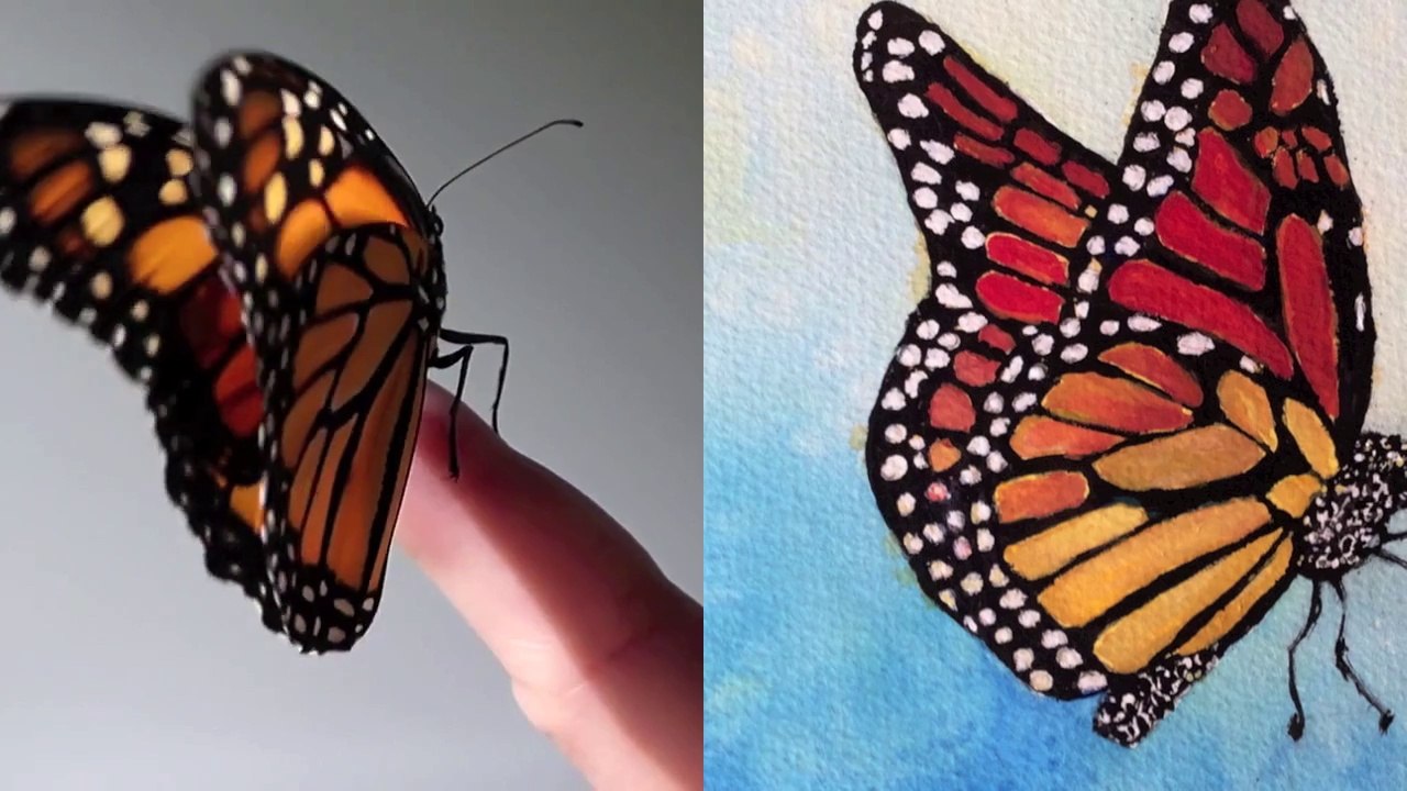 How to paint a Monarch with Watercolors, fast and easy