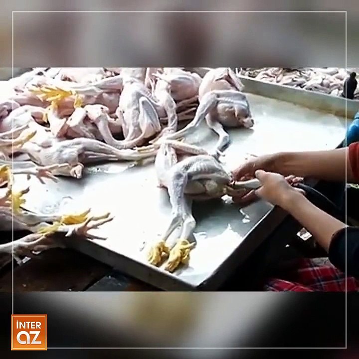 gà bơm