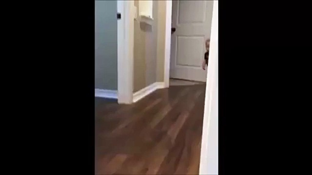 Whatsapp Videos || Amazing Reaction by Kid