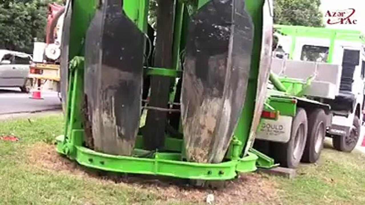 Tree Transfer