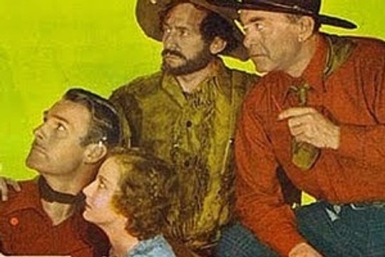 Buffalo Stampede (1933) Randolph Scott, Judith Allen, Buster Crabbe. Western