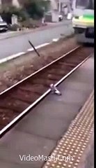 Ab To Bird Bhi Train Mein Safar Karne Lage - Must Watch