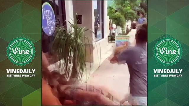 BEST AMANDA CERNY Vine Compilations 2015 | ALL Funny Amanda Cerny Vines HD (180 W/ Titles)