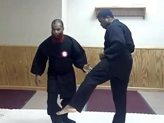 Lecciones de Ninjutsu