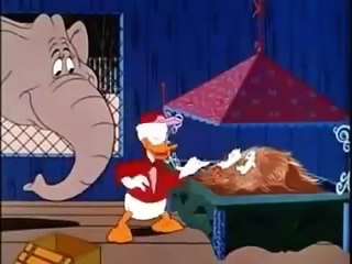 The Best Of Chip And Dale 2015 Compilation | Chip and Dale Compilation Part 1