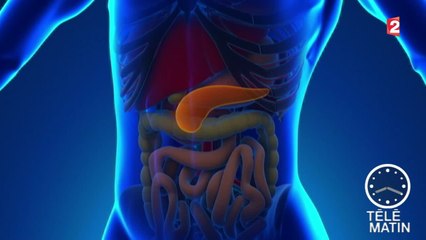 Santé - Prévenir le cancer du pancréas  - 2015/11/09