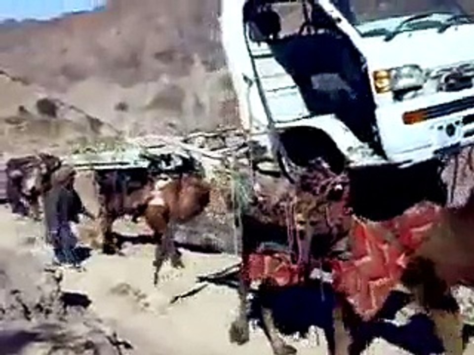 Smuggling of Cars and Vans on Camels in pakistan